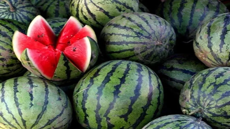 Qarpızla bağlı tərəddüd: Qiyməti yüksək, zəhərlənmə ehtimalı çox - VİDEO