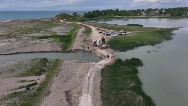 Cəlilabadda iki nəfərin boğulmasına səbəb qoyunlar olub - Yenilənib - FOTO