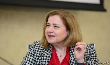 Səhiyyə işçiləri iqlim dəyişikliyinin problem olduğunu anlamalıdırlar - Hande Harmancı