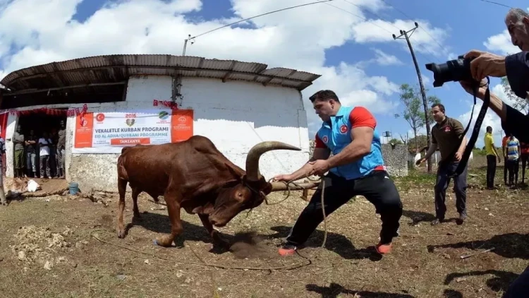 Türkiyədə Qurban bayramında 16 min nəfər yaralanıb