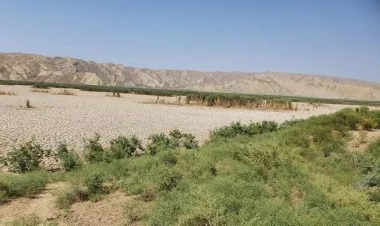 Pirsaat çayı məcrasından çıxdı - FOTO