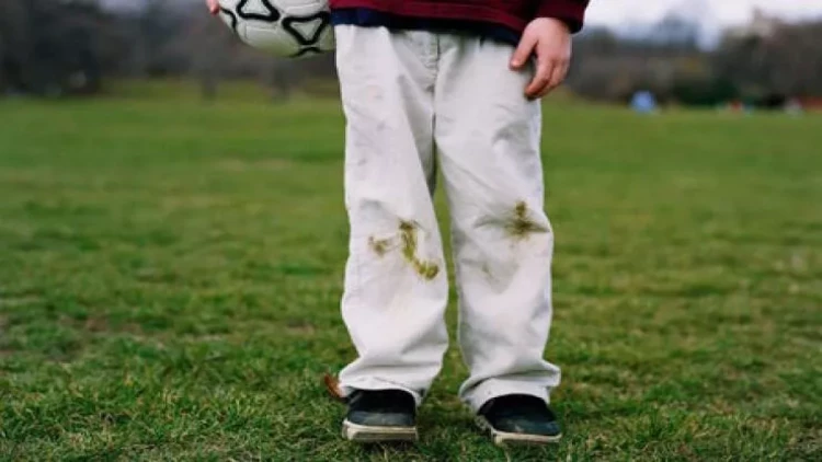 Paltardan ot ləkələrini belə təmizləyin