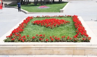 Bakıda yeni parklar salınır - FOTO