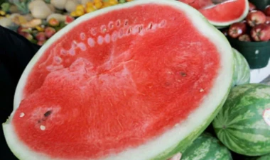 Bu il qarpız bahalaşacaq? - VİDEO