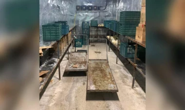 168 müəssisədə nöqsanlar aşkarlandı - FOTO