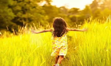 Azərbaycana yay fəsli bu tarixdə daxil olacaq