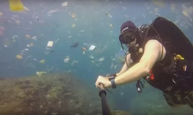 15 min il yaşaya bilən canlı tapıldı