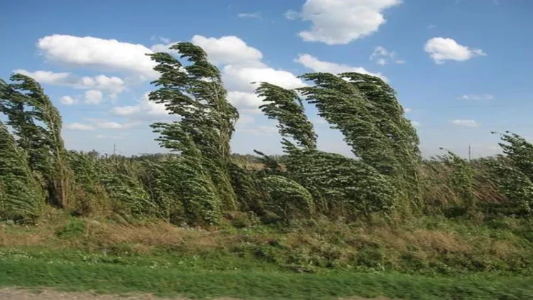 Azərbaycanda küləklə bağlı sarı xəbərdarlıq elan olundu
