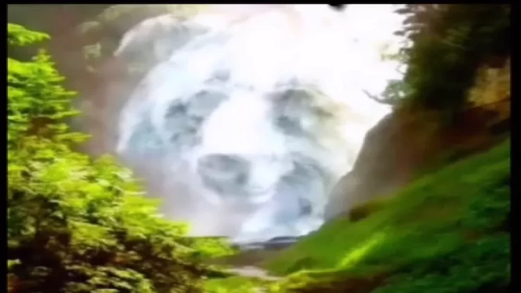 Rəsmdə ilk nə gördünüz? – Xarakter TESTİ