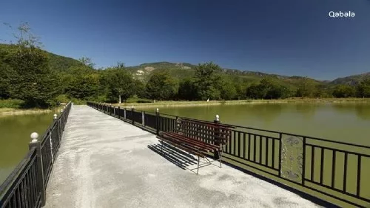 Bölgələrimizdə istirahətin bir günü… – Qiymətlər