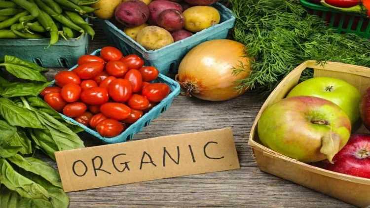 1 aya normal bədənə sahib olmaq üçün  4 vacib QİDA