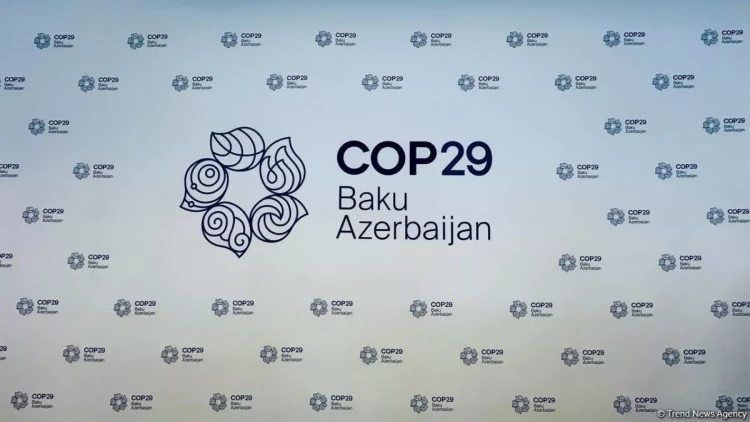 GECF: COP29 tədbiri böyük uğur qazanacaq
