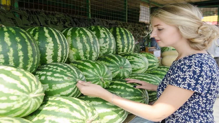 Mövsümündə satılmayan qarpız haradan gətirilir? - VİDEO
