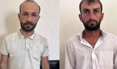 Heyvan oğruları saxlanıldı