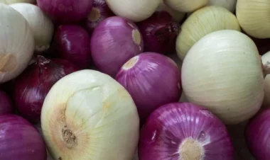 Soğanda gizli təhlükə: yeyərkən edilən bu səhv zəhərlənməyə səbəb olur