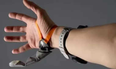 Alimlərdən yeni kəşf: Ələ əlavə edilən bu barmaq...