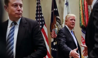 İlon Maskla Trampı nə bağlayır? Prezident seçilsə...