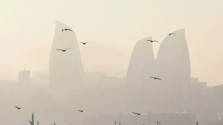 Bakıda tozun miqdarı kəskin artdı