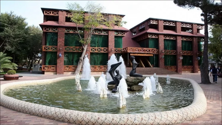 Xəqani bağı ətrafında son vəziyyət - VİDEO