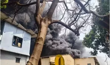 Hindistanda fabrikdə partlayış  - 34 nəfər xəsarət aldı