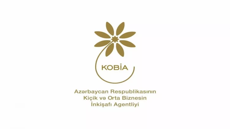 KOBİA-nın sahibkarlarla növbəti görüşü Goranboyda keçirilib - FOTO