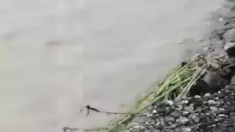 Gəncədə torpaq sürüşməsi baş verdi