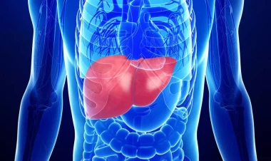 Qeyri-sabit hava orqanizmə bu cür təsir edir – Həkim