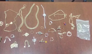 Gəncədə oğurluq edən şəxslər saxlanıldı - FOTOlar