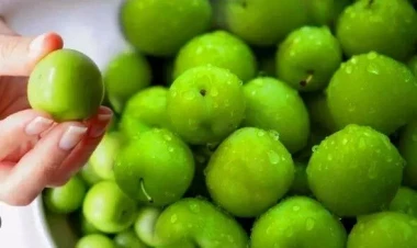 Yaşıl alçanın bilmədiyiniz FAYDALARI