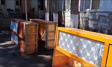 Dərslərin dayandırılmasına sahibkar səbəb olub - Nazirlikdən açıqlama