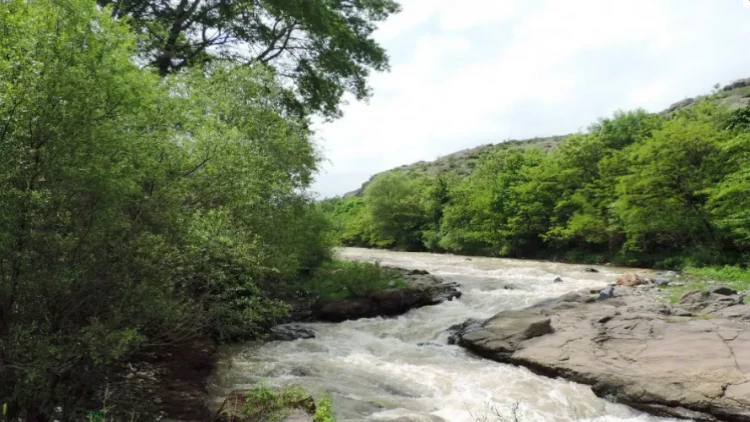 Göygöldə çayda batan yeniyetmənin cəsədi tapıldı