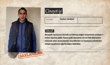 Bakıda usta işlədiyi evlərdən oğurluq etdi - VİDEO