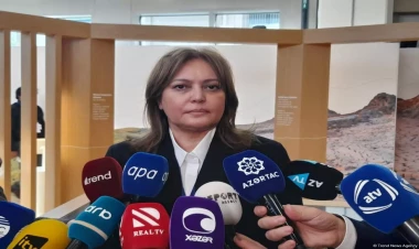 İqlim dəyişiklikləri gözlənildiyindən daha sürətlə baş verir - Umayra Tağıyeva