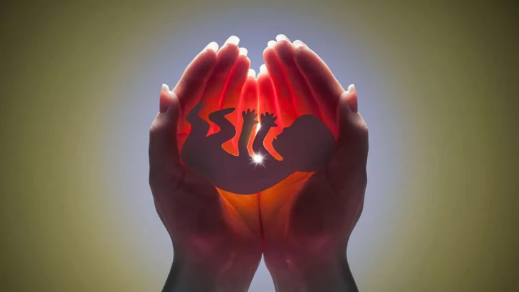 2023-cü ildə Azərbaycanda abortların sayı açıqlandı