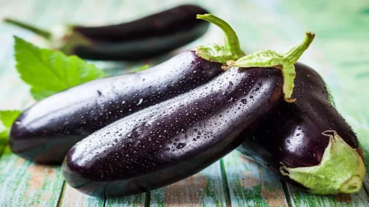 1 tona yaxın badımcanı zibilliyə atdılar - Səbəb təəccübləndirir - FOTO