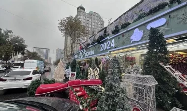 “Ağ çiçəyim”in külə dönməsinin səbəbi açıqlandı