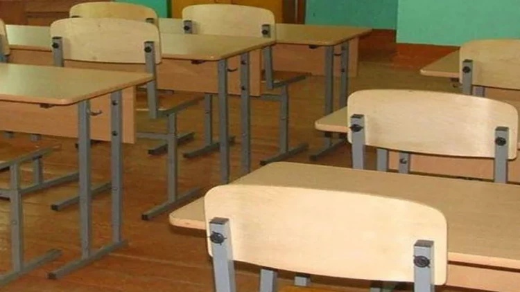 Cənnətməkanda məktəbə soxulan ayı güllələndi - FOTO