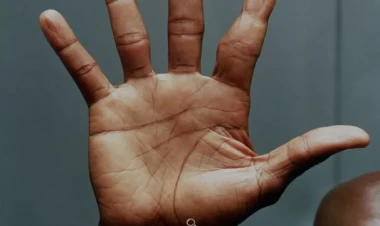 Ovuclarımızın içində gizlənən uzunömürlülüyün sirləri