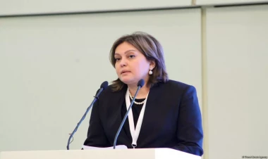 Azərbaycanın şəffaflığa dair iqlim hesabatı COP29-dək təqdim olunacaq - RƏSMİ