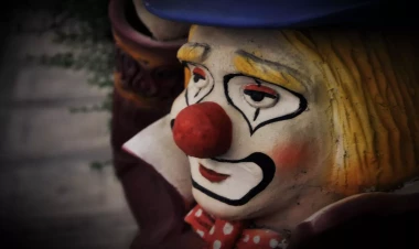 Aviasiya Akademiyasını bitirib KLOUN işləyən şəxs: 