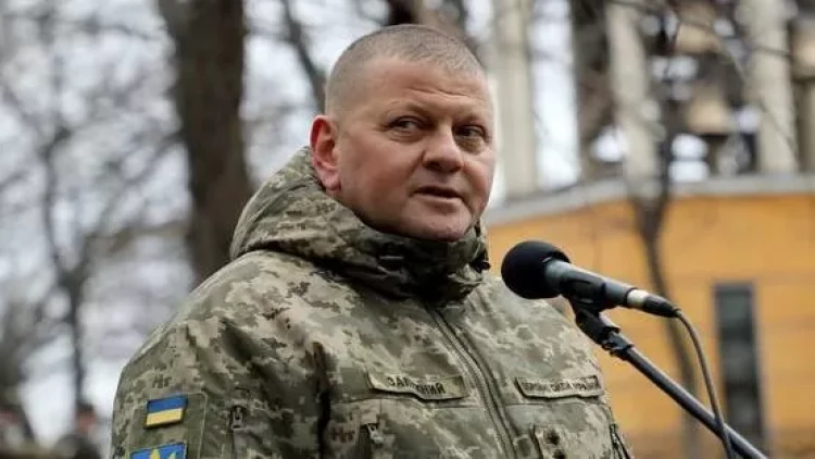 Zelenski Zalujnını bu ölkəyə səfir təyin etdi