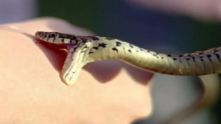 Ağdamda 12 yaşlı uşağı ilan sancdı - FOTO