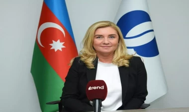 AYİB Azərbaycana investisiyaları artırmağı planlaşdırır - Natalya Mouravidze