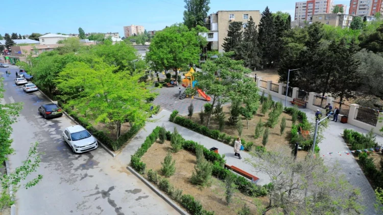 Nizami rayonunda növbəti park abadlaşdırıldı - FOTO