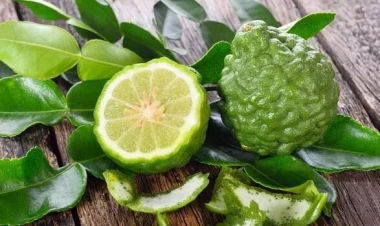 Ürək damarlarını qoruyan, stressi azaldan çay...