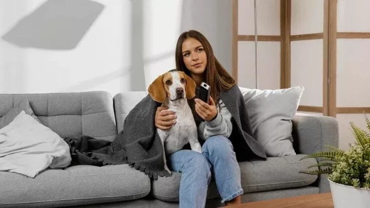 Sahibinin həyat tərzinə uyğun gələn İTLƏR