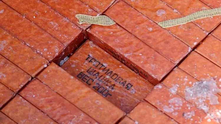 Finlandiya təcili şəkildə trotil zavodu tikmək istəyir