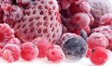 Çexiyada şaxta 100 min tondan çox meyvəni məhv etdi