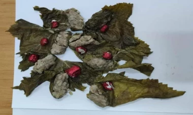 Qardaşına dolmanın içində narkotik keçirmək istədi