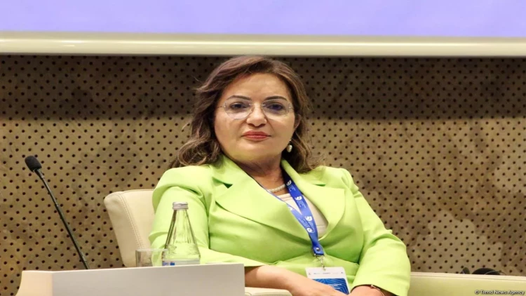 Niyə bəzi ölkələr Azərbaycana qarşı riyakar siyasət yürüdür?! - Aygün Attar